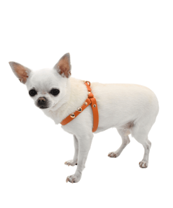 Simple and Fast Heart Harness - immagine 3