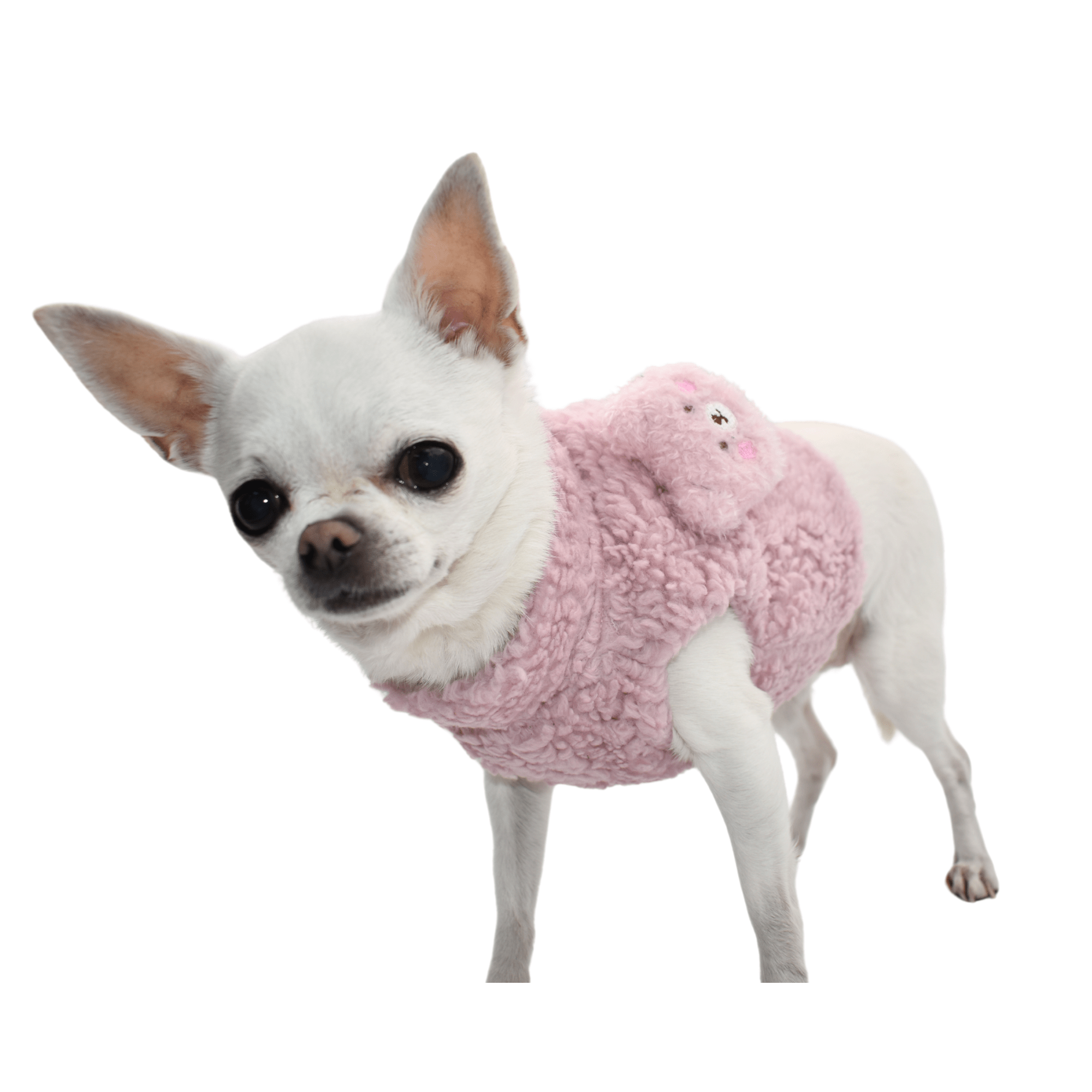 Teddy Bear Cotton Harness Pink - immagine 3
