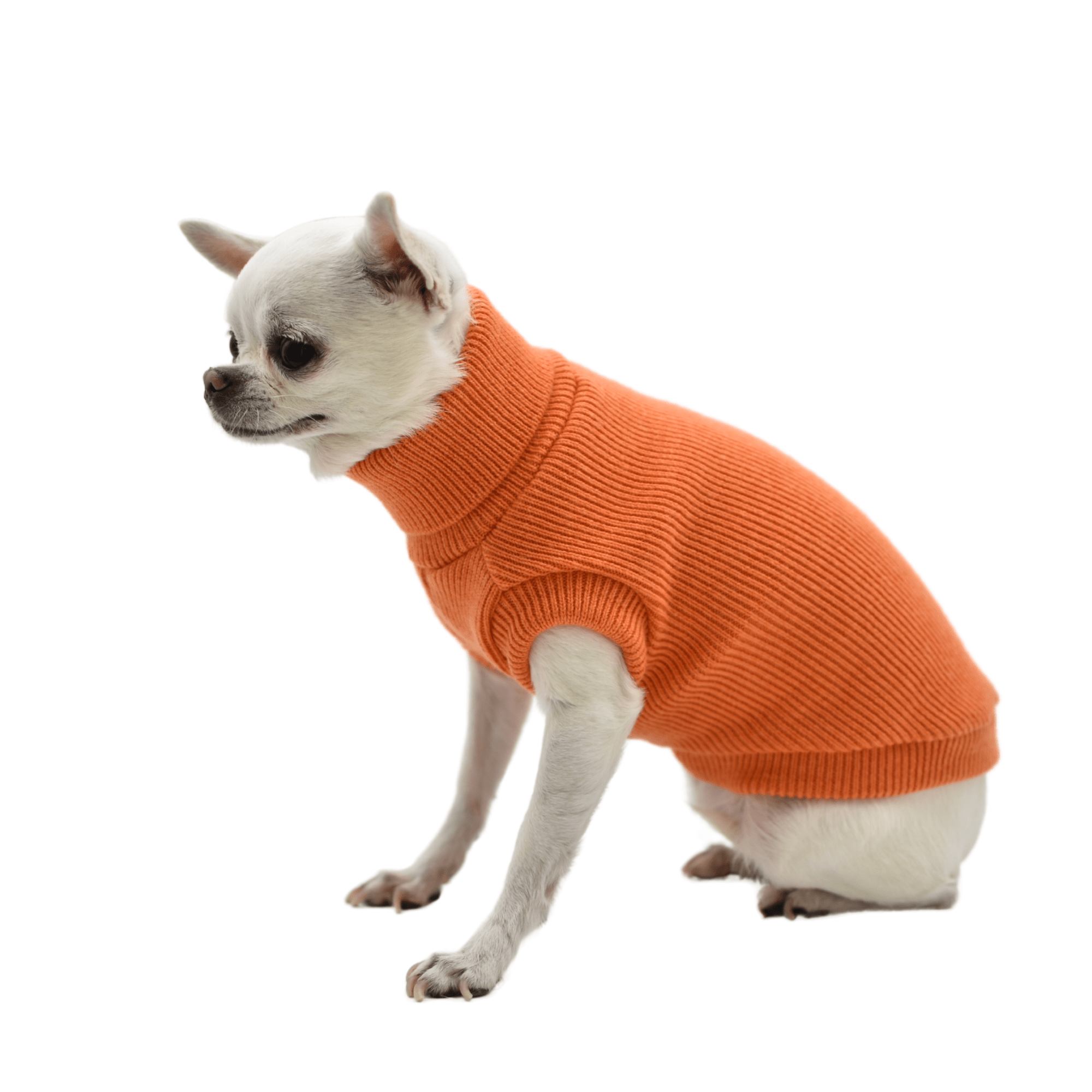 Pull costine arancio con modella