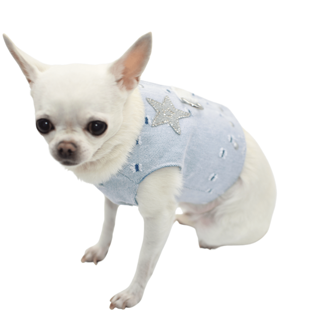 Denim Unicorn Blue Harness - Image 3