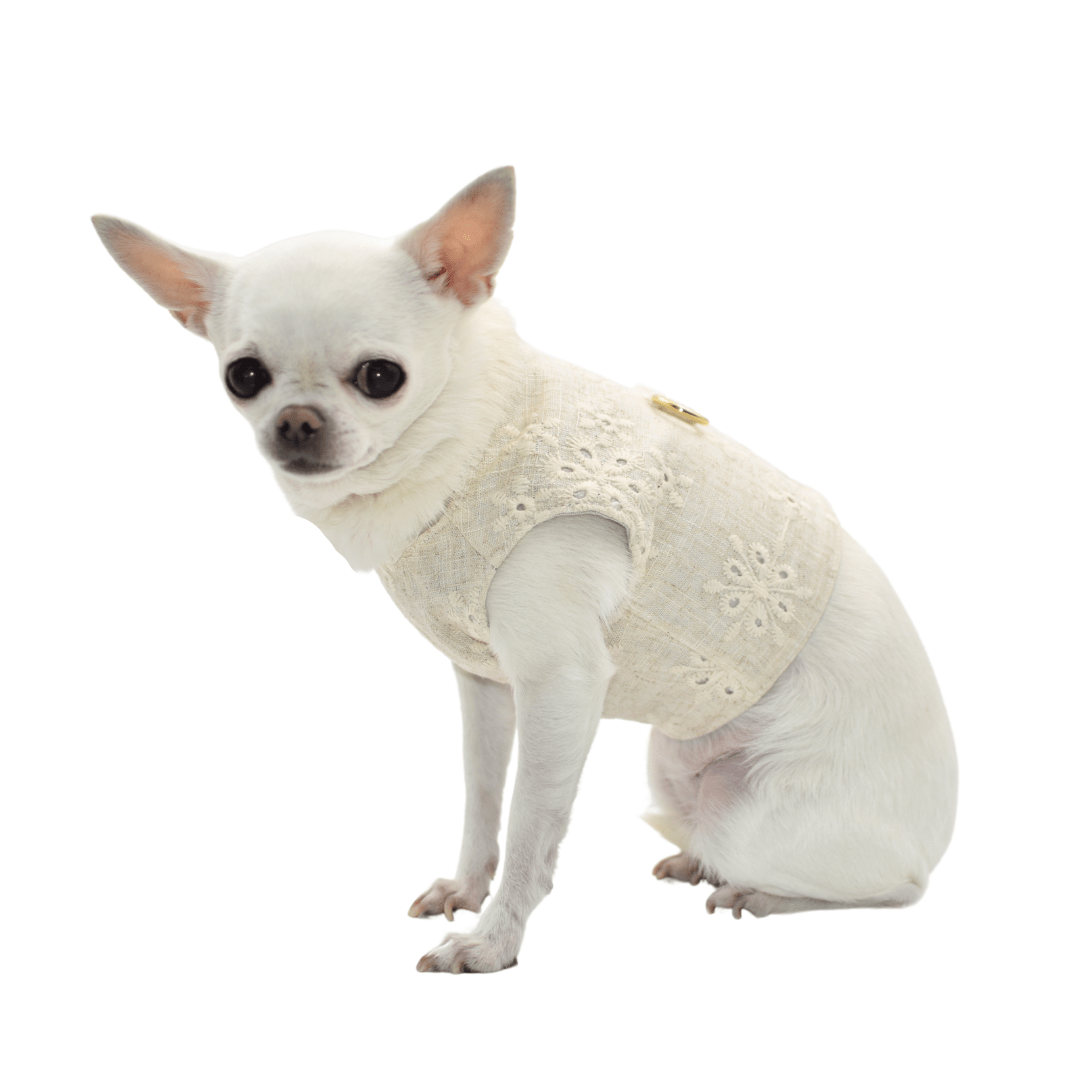 Pettorina per cani in lino con modella