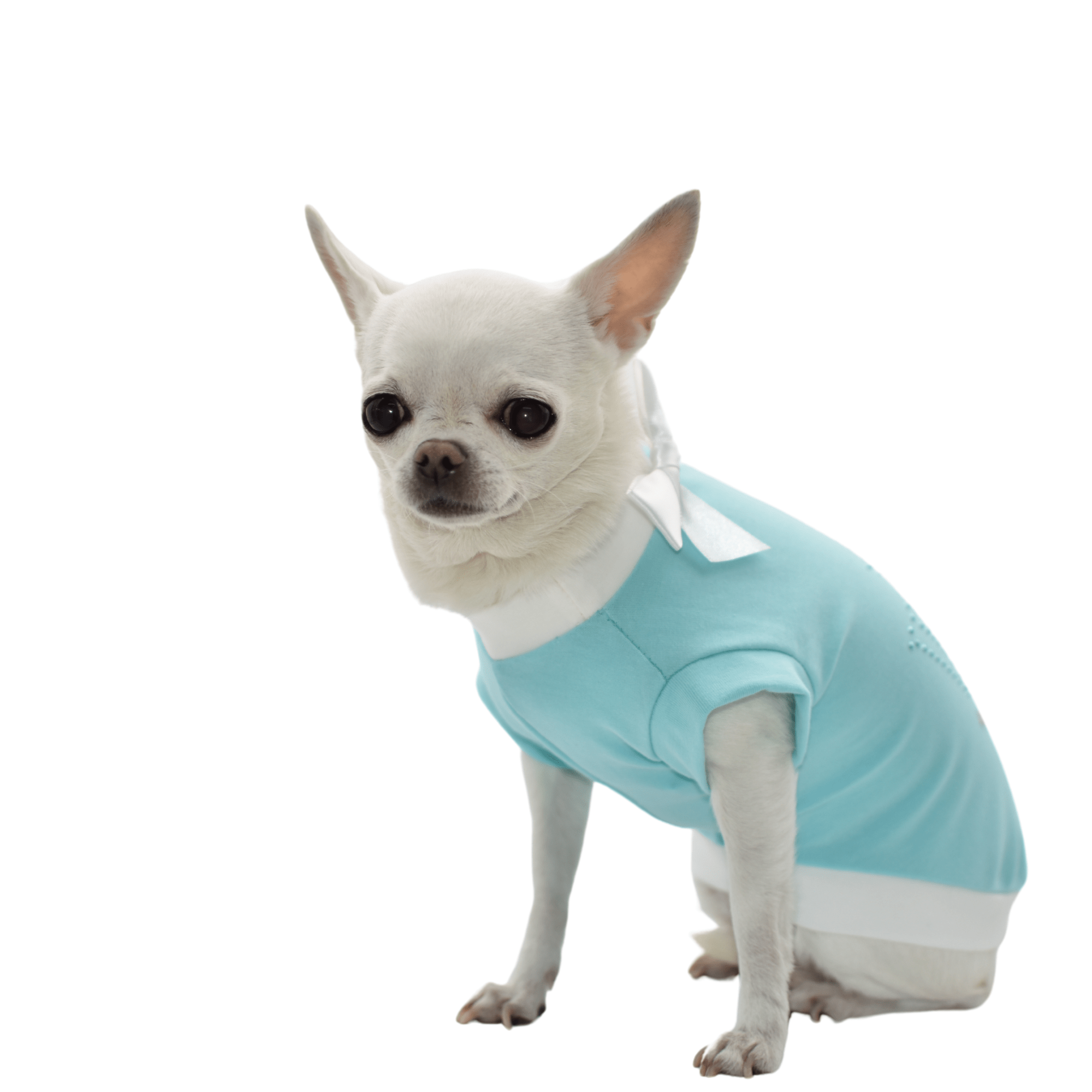 Tshirt per cani Tiffany