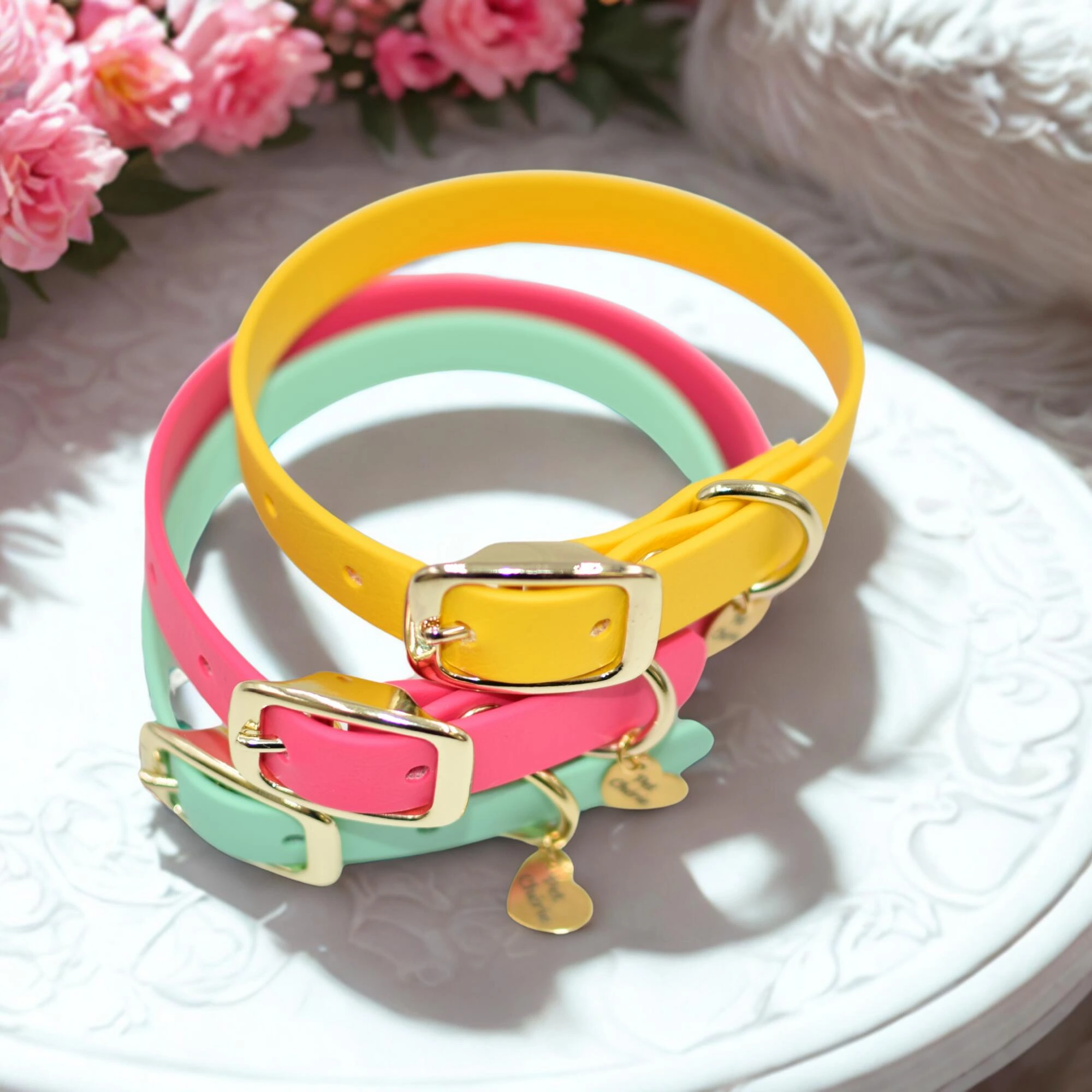 Guinzaglieria Guinzaglieria