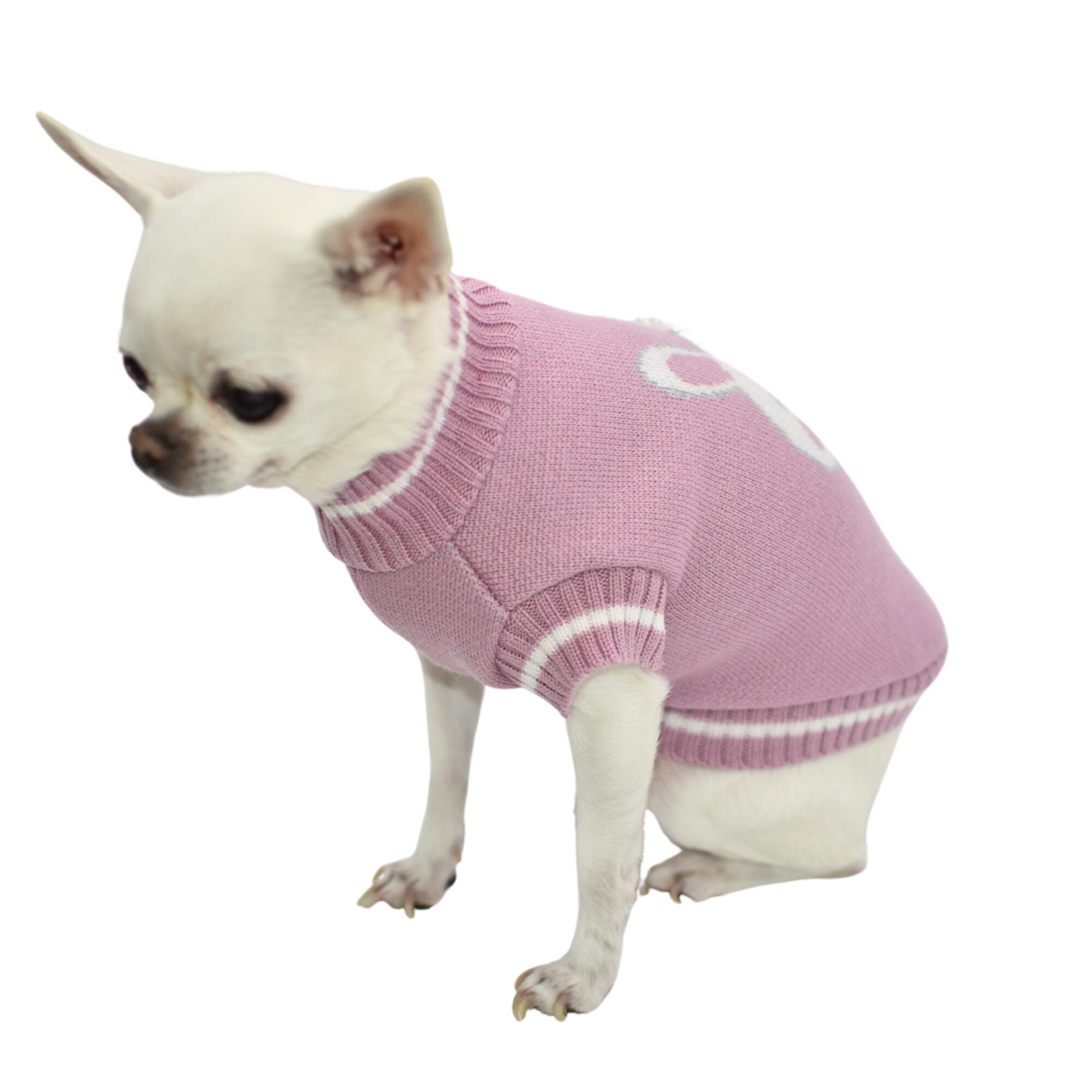 Maglione per cani miss Susy con Ginger
