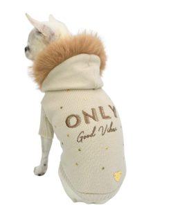 Maglione cani lana merinos con cappuccio con modella