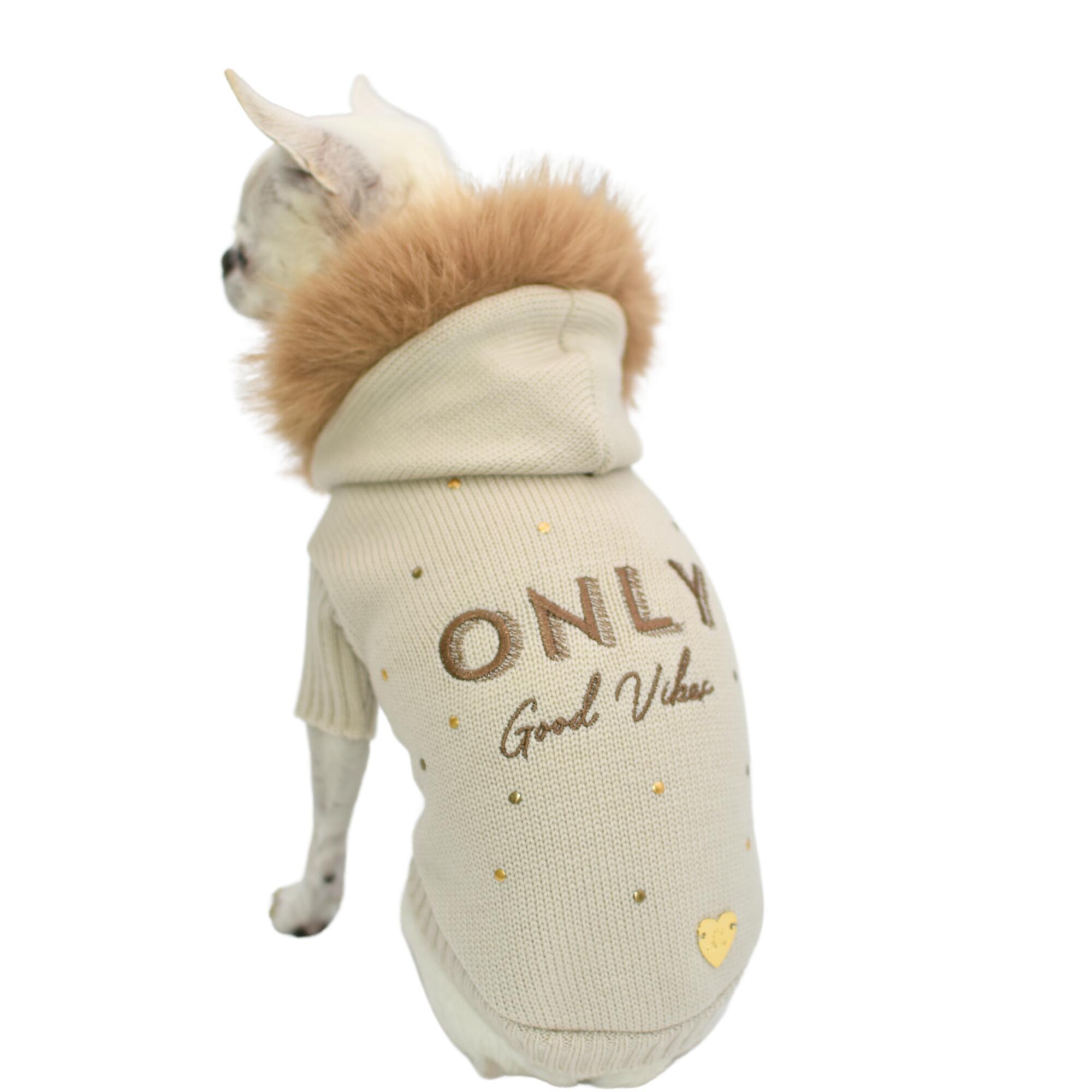 Maglione cani lana merinos con cappuccio con modella