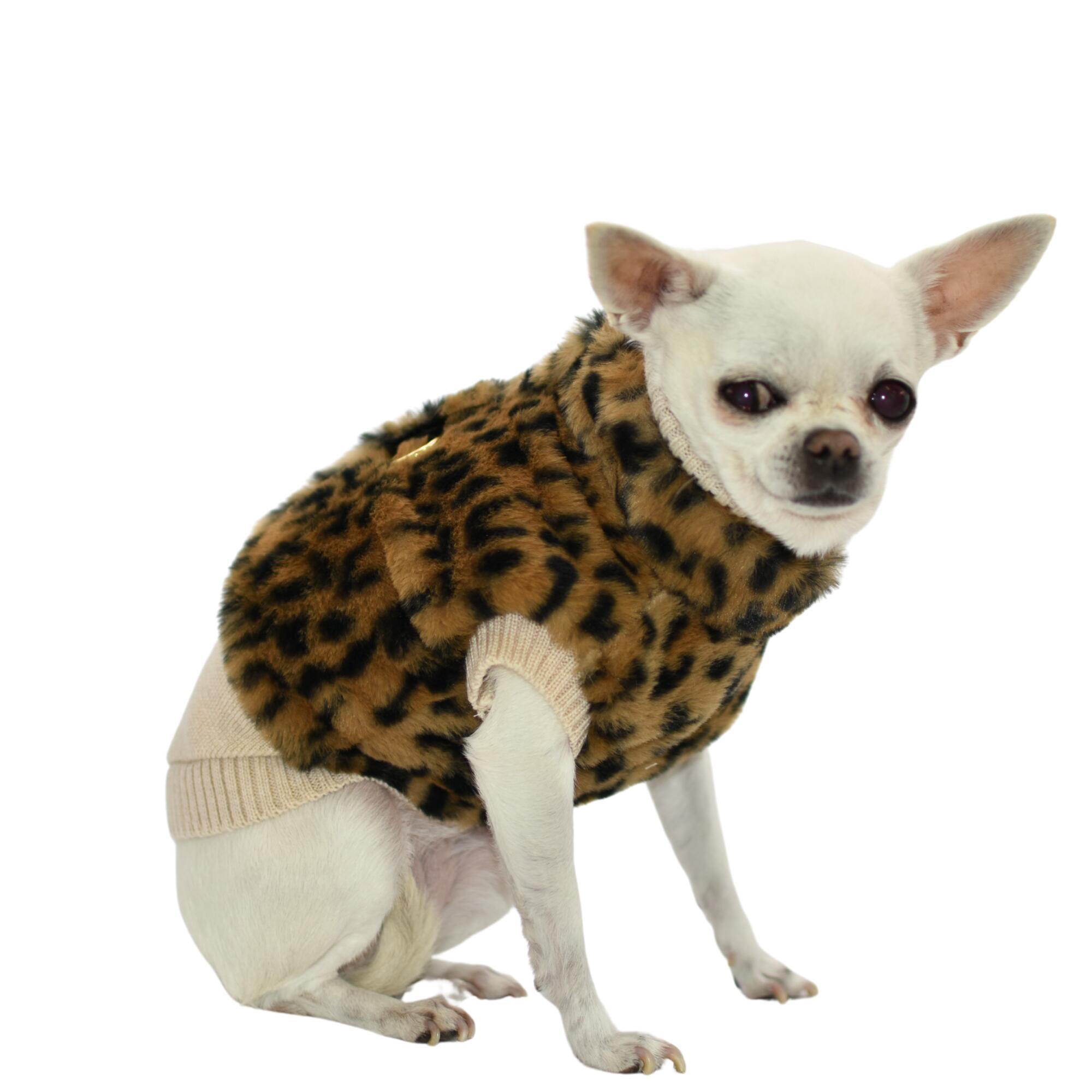 Pettorina ecopelliccia panther su Ginger
