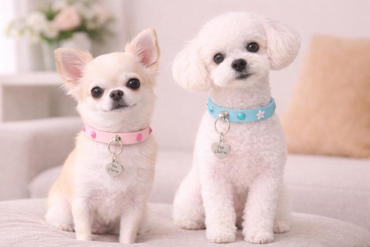 Collars for bunner dogs