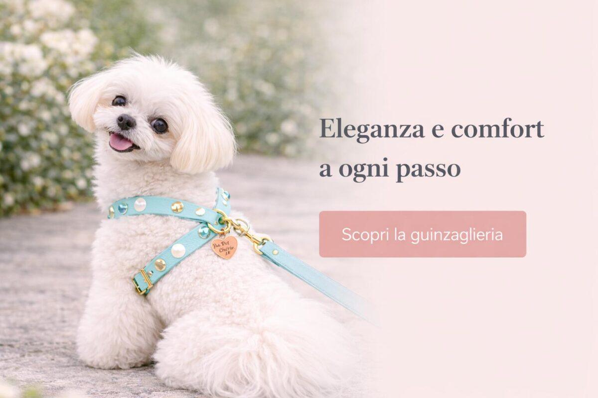 Guinzaglieria per cani bunner