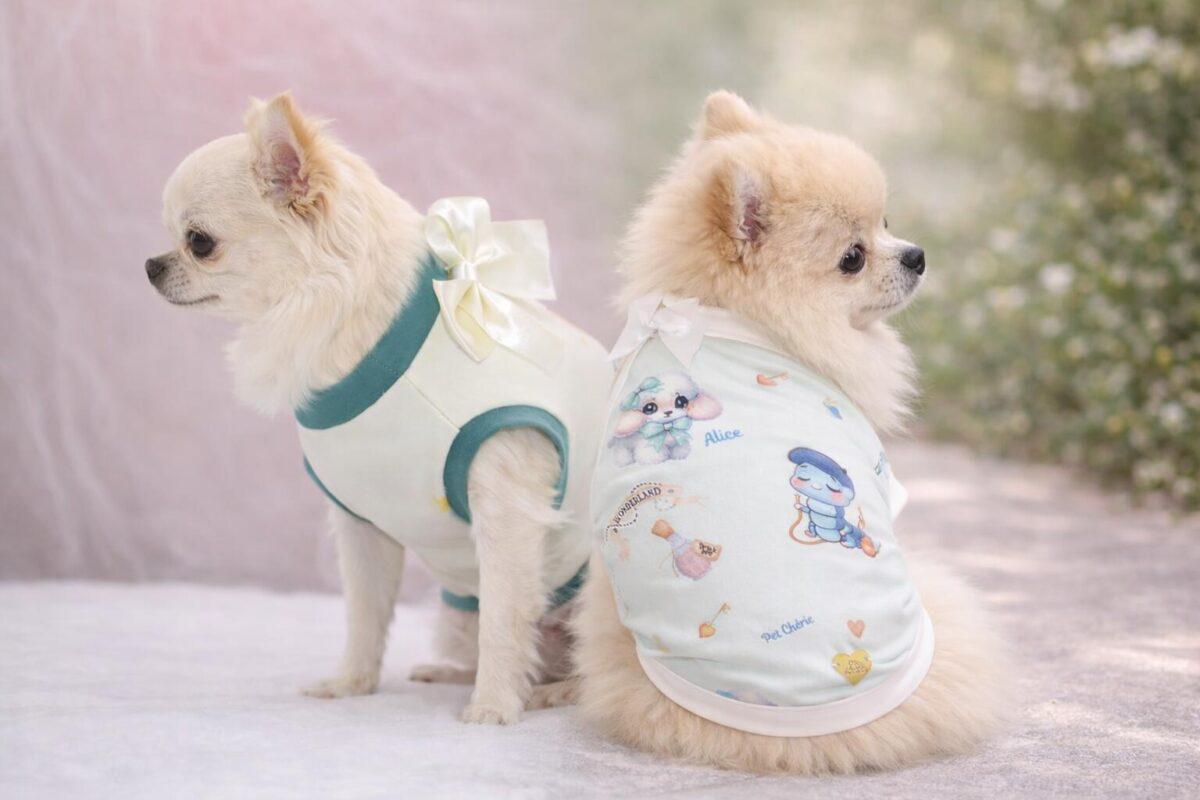 Magliette per cani bunner