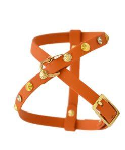 Pettorina biothane burnt orange con coni oro e punti luce