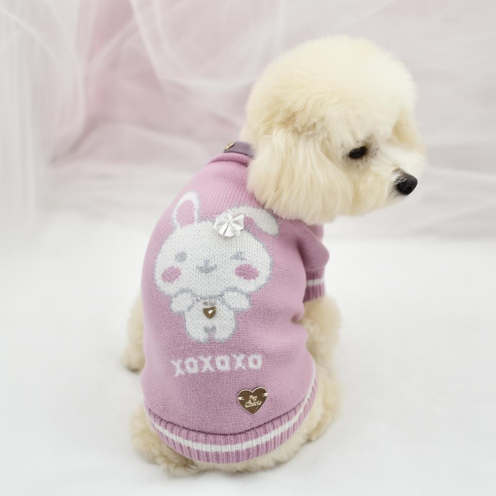 Maglione per cani con modella Miss Susy
