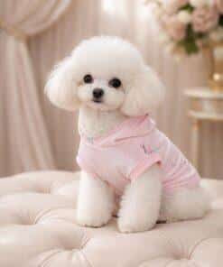 Felpa per cani alice in wonderland con modella