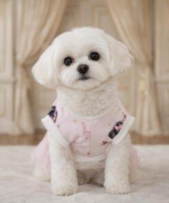 Tshirt per cani con ballerine con modella 2