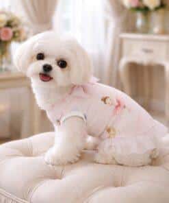 Tshirt per cani con ballerine con modella 1