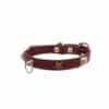 Collare Pyramid Brown