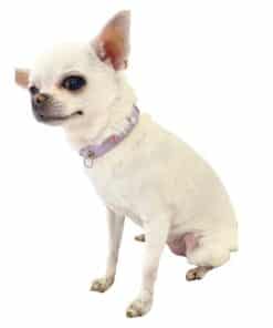 Alternative view of Collare Pearl Pastel Purple