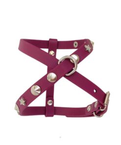 Pettorina Shining Wine Red