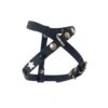 Pettorina Stars Black