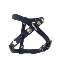 Pettorina Stars Black