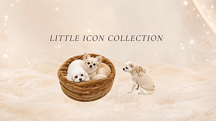 Nuova collezione Little Icon 2027 cani